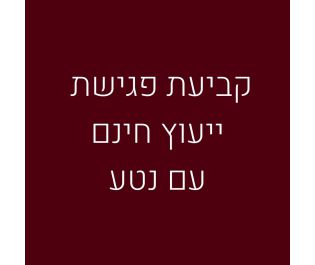פגישת עיצוב אישי עם נטע